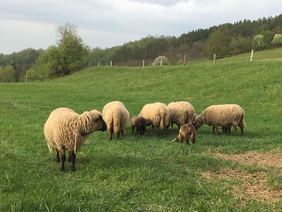Statek Stranovice Lägenhet Malenitz Exteriör bild